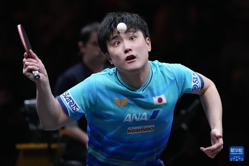 B—sports必一介绍图片