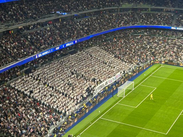 B—sports官网相关图片